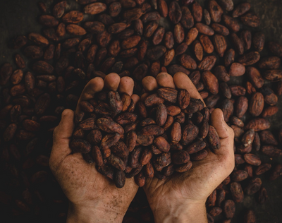 Tasse Coffee - Coffee Talk | Top 5 Coffee Bean Processing Methods