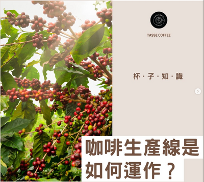 咖啡生產線是如何運作?