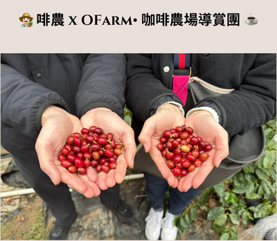 啡農 + O Farm x Tasse Coffee 咖啡導賞團