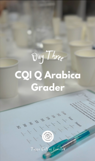 CQI Q-アラビカグレーダー-3日目 @ Tasse Coffee