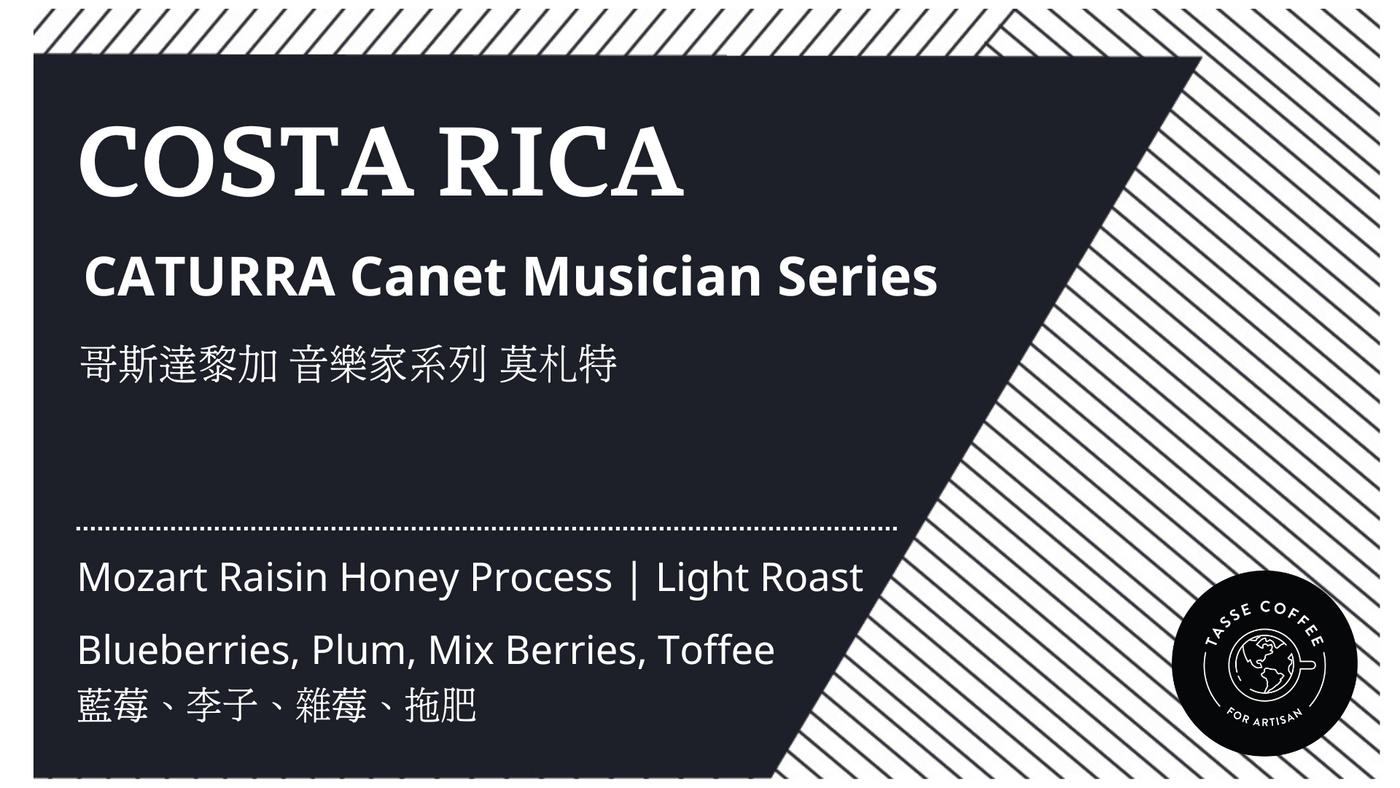 CostaRica, Canet Musician Series Mozart | 哥斯達黎加 卡內特莊園 音樂家系列 莫札特 ｜葡萄乾蜜處理