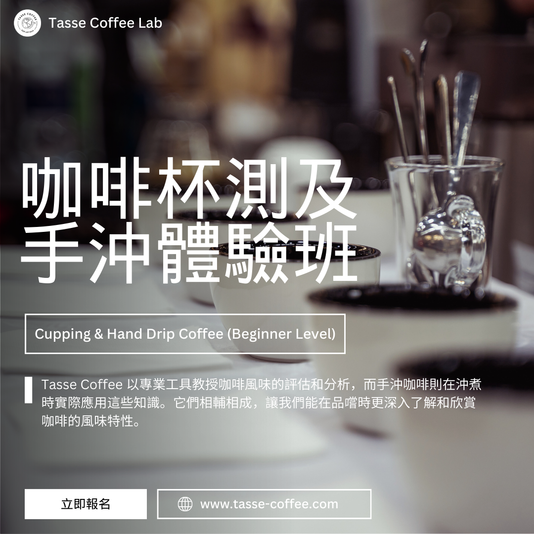 咖啡杯測及手沖體驗班