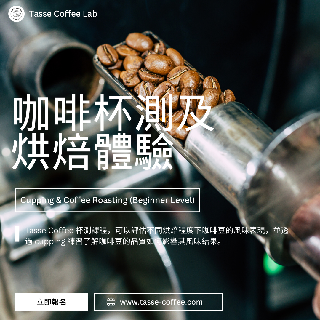 咖啡杯測及烘焙體驗