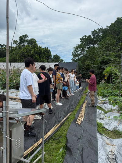 咖啡果採收及處理工作坊