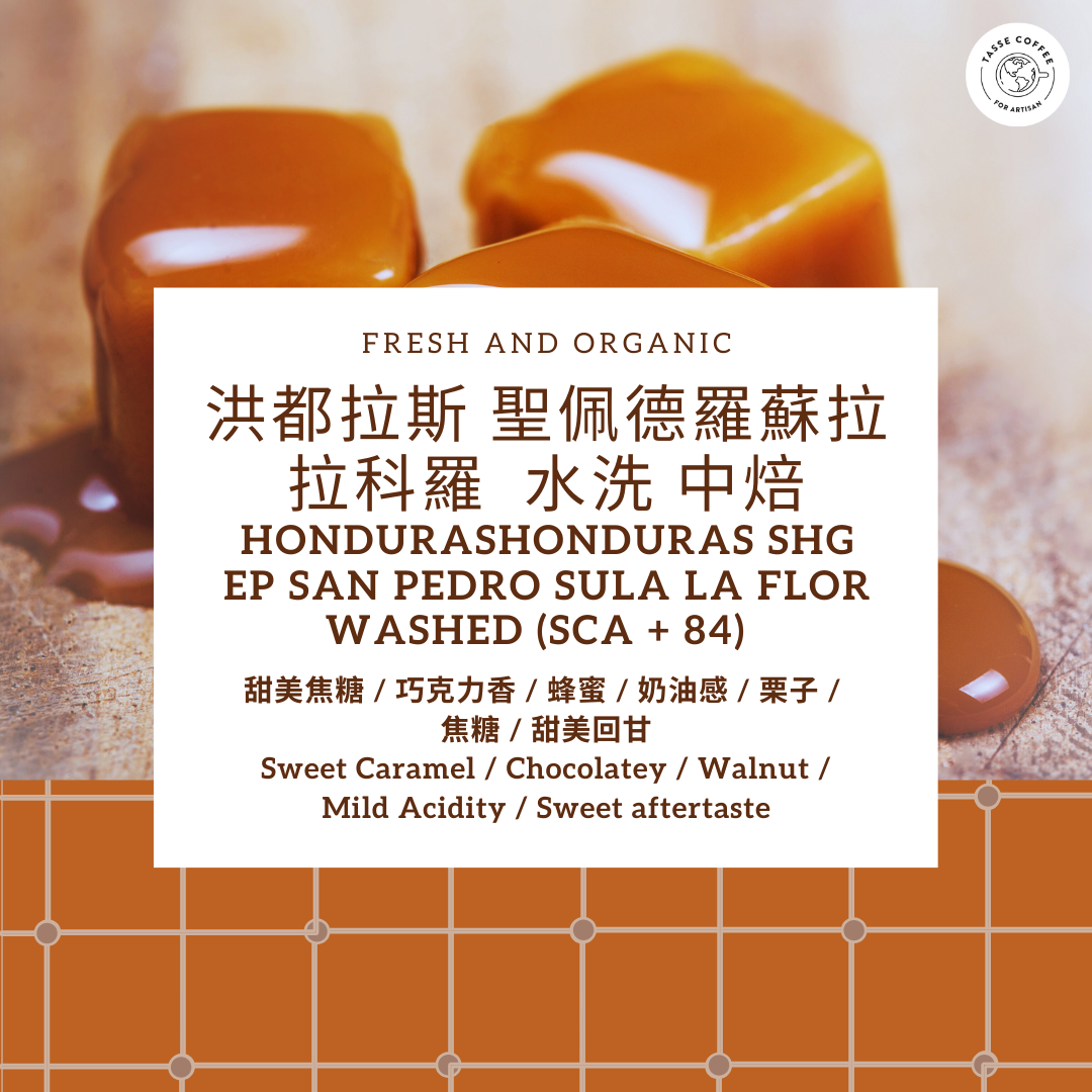 洪都拉斯 SHG 聖佩德羅蘇拉 拉科羅｜水洗｜中焙 ｜Honduras SHG San Pedro Sula La Flor ｜Washed ｜Medium Roast ( SCA + 84)