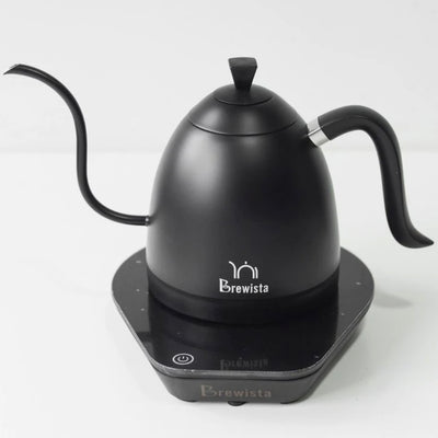 Brewista - Artisan Electronic Temperature Control Coffee Pour Pot Electric Gooseneck Kettle (600ml)｜Slender Mouth Pour Pot