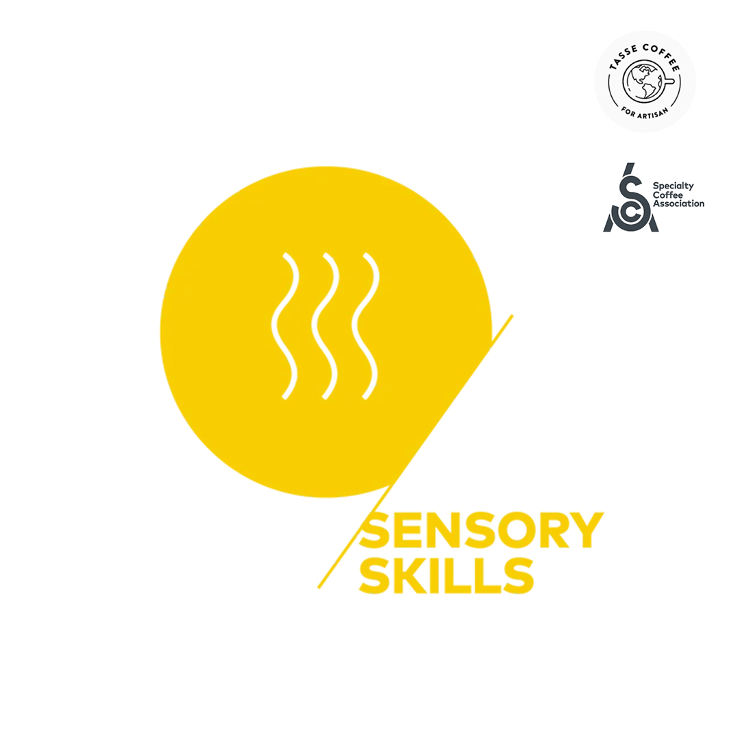 SCA Coffee Certification Course - Sensory Skills (Foundation / Intermediate / Professional)
