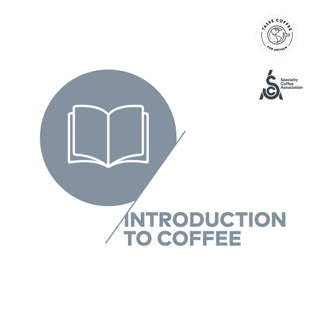 SCA Introduction to Coffee