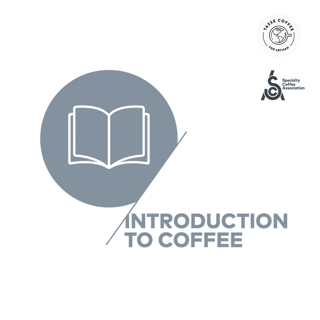 SCA Coffee Certification Course (Private Class) Introduction to Coffee